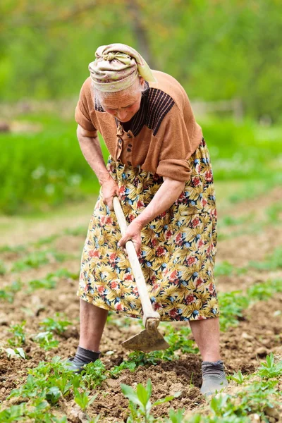 Gammal lantlig kvinna som arbetar marken — Stockfoto