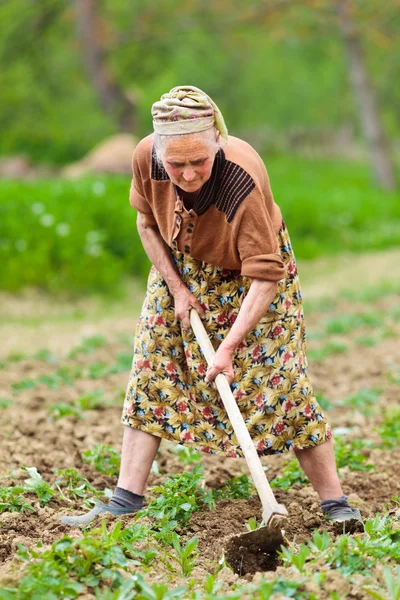 Staré venkovské ženy obděláváním půdy — Stock fotografie