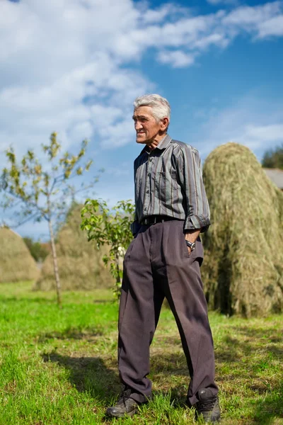 Granjero senior en un prado con montones de heno — Foto de Stock