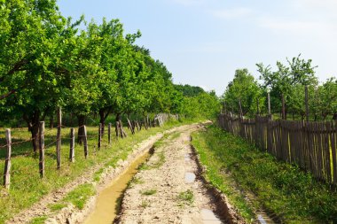 bir bahçe içinde kırsal çamurlu yol