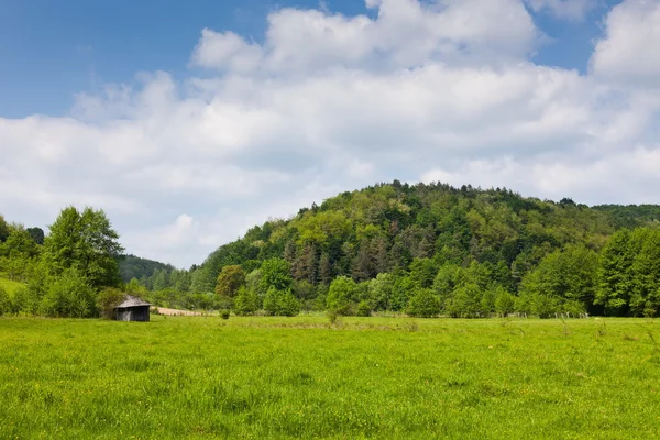 Landschap met bos onder de blauwe hemel — Stockfoto