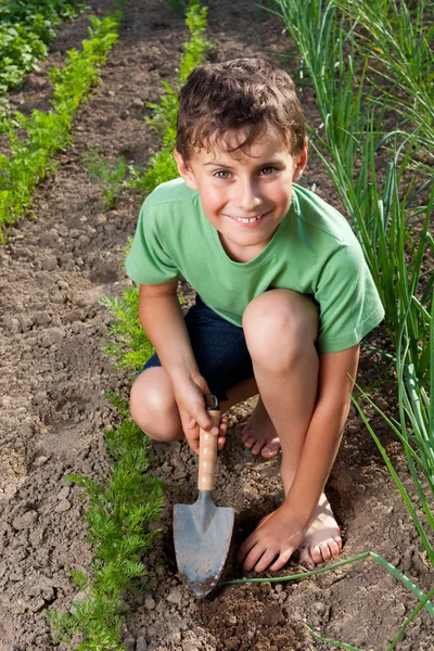 Bahçede çalışan çocuk. — Stok fotoğraf