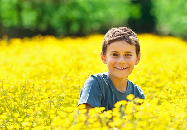 Lindo niño en un campo de flores — Foto de Stock