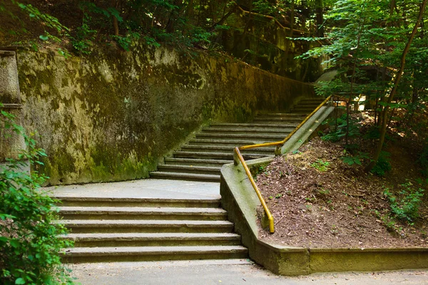 숲 계단 — 스톡 사진