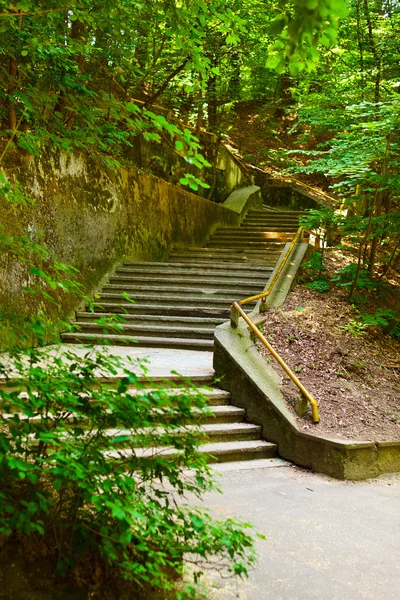 Escaleras a través del bosque —  Fotos de Stock