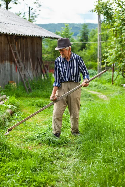 Velho homem rural usando foice — Fotografia de Stock