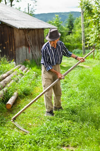 Kırsal ihtiyar tırpan kullanarak — Stok fotoğraf