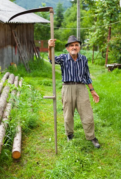 Viejo campesino usando guadaña — Foto de Stock