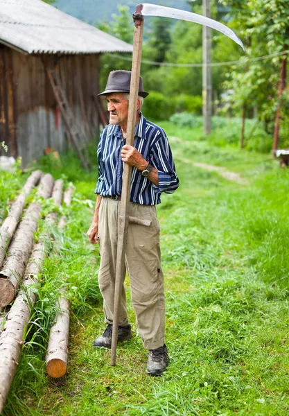 Viejo campesino usando guadaña — Foto de Stock