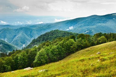 Romanya parang Dağları ile peyzaj