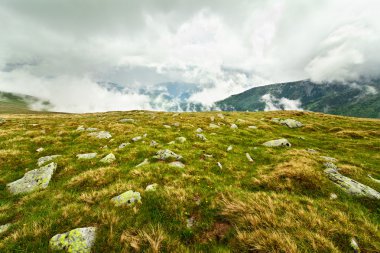 Romanya parang Dağları ile peyzaj