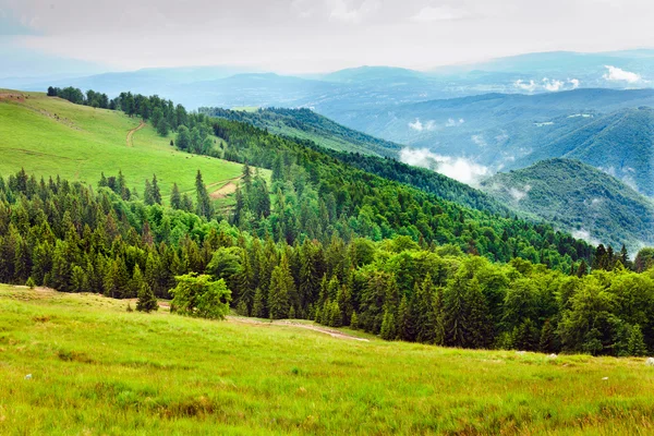 Краєвид з Паранго гори в Румунії — стокове фото