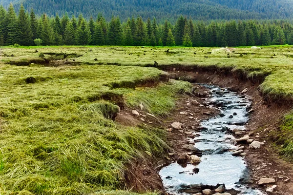 Река в горах Румынии — стоковое фото