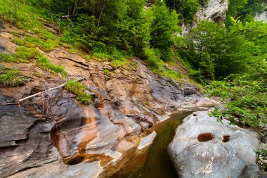 Latoritei waterfall in Romania mountains clipart