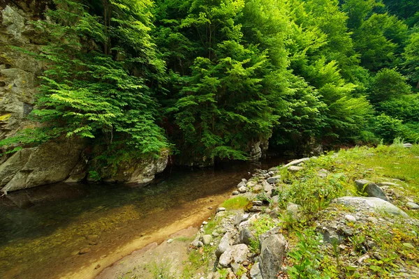 Latoritei Valley in Romania mountains — Stock Photo, Image