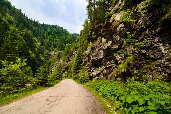 LATORITEI údolí v Rumunsku — Stock fotografie