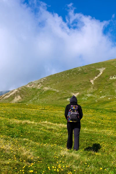 Senhora turista caminhadas no pico Iezer em Parang montanhas — Fotografia de Stock