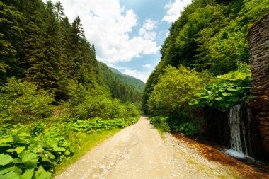 Latoritei Valley in Romania clipart