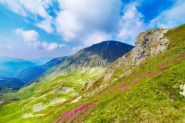 Landschaft mit dem Mohoru-Gipfel des Parang-Gebirges in Rumänien — Stockfoto