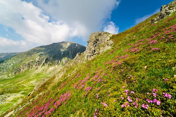 Paesaggio con la cima Mohoru delle montagne Parang in Romania — Foto Stock