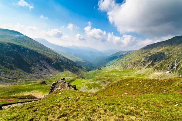Krajobraz z mohoru szczytem gór maczeta w Rumunii — Zdjęcie stockowe