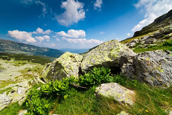 W pobliżu setea klacz szczyt góry maczeta, Rumunia — Zdjęcie stockowe