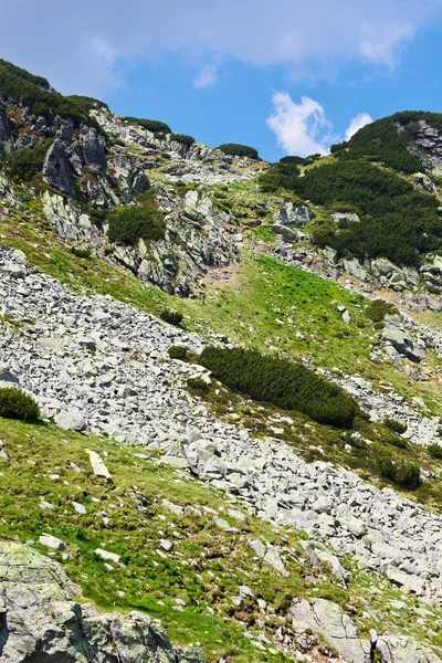 Krajina s setea mare vrchol parang pohoří v Rumunsku — Stock fotografie