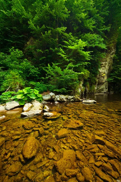 Latoritei долини в Румунії гори Ліцензійні Стокові Фото