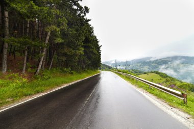 olan ıslak yol manzara