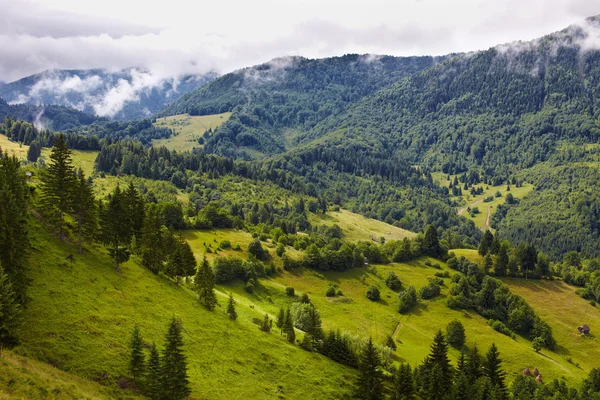 Alpine Landschaft mit Häusern in Tirol — Stockfoto