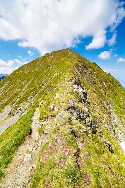 フグラシ ルーマニアの山を風景します。 — ストック写真