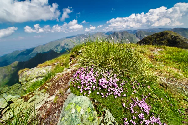 Romanya Dağları ile fagaras manzara — Stok fotoğraf