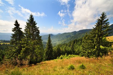 Romanya Dağları ile peyzaj