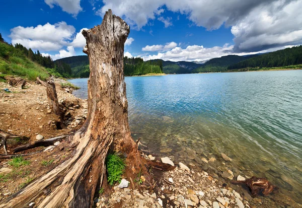 Přehrada bolboci jezero v pohoří bucegi, Rumunsko — Stock fotografie
