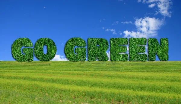 Vai segno verde su erba fresca — Foto Stock