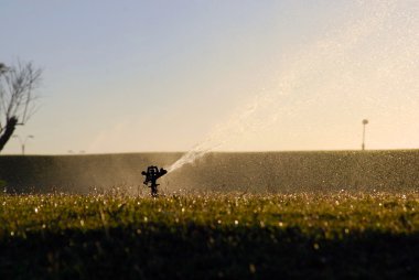 Lawn sprinkler at sunset clipart