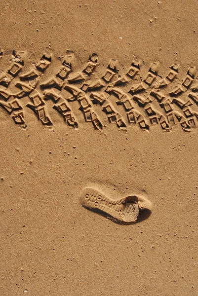 Sporen in het zand — Stockfoto