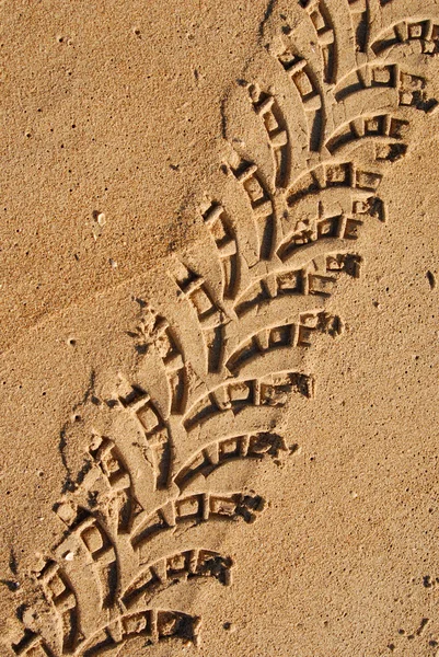 Ίχνη στην άμμο — Φωτογραφία Αρχείου