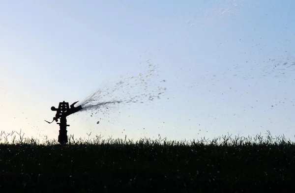 Silhouette irrigatore prato — Foto Stock