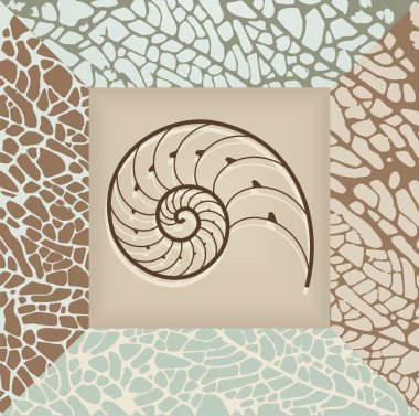 Nautilus shell background. clipart