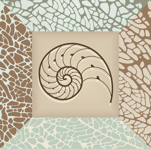 Nautilus fond de coquille . — Image vectorielle