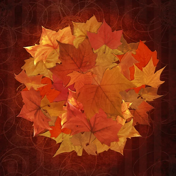 秋の葉の円の背景 — ストック写真