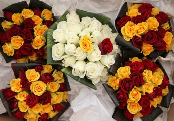 Svatební růže — Stock fotografie