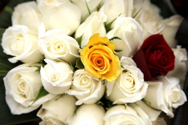 Rosas de casamento — Fotografia de Stock