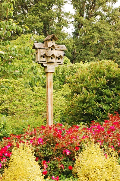 Birdhouse in giardino — Foto Stock