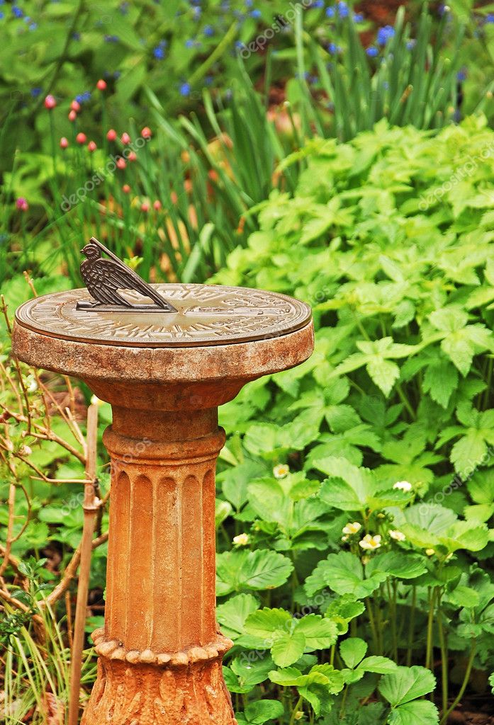 Tuin zonnewijzer — Stockfoto © montana 5849200