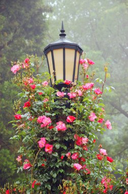 Lamp post with pink roses clipart