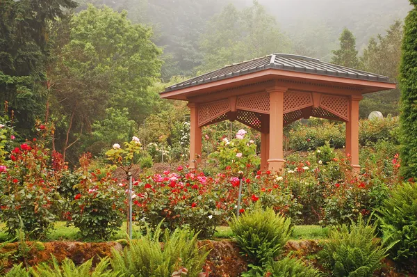 Rose garden gazebo — Stock Photo, Image
