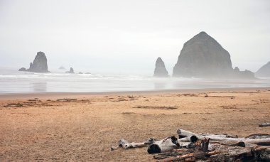 Oregon coastline clipart