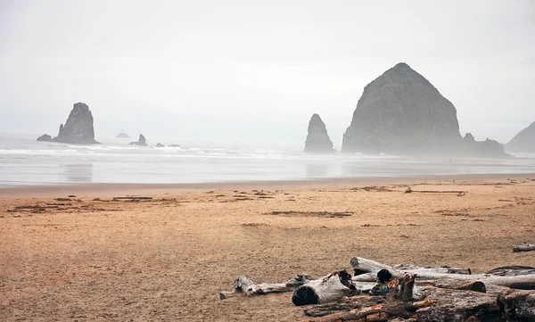 Oregon coastline — Stock Photo, Image